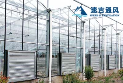 徐州蔬菜大棚种植专用镀锌板负压风机通风降温工程